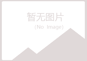 和政县夏岚水泥有限公司